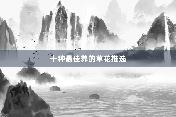 十种最佳养的草花推选
