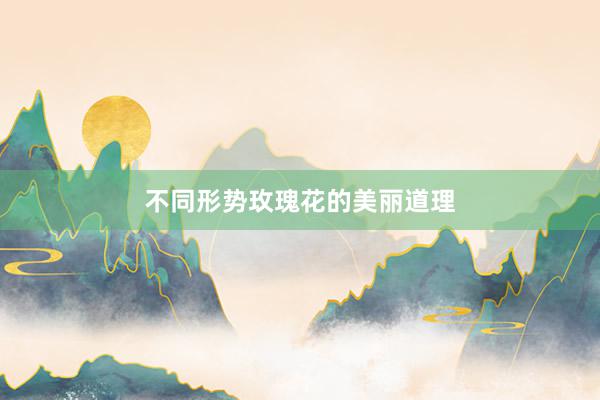 不同形势玫瑰花的美丽道理