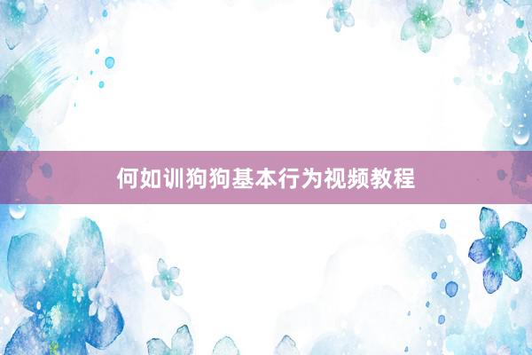 何如训狗狗基本行为视频教程