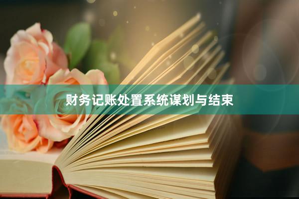 财务记账处置系统谋划与结束