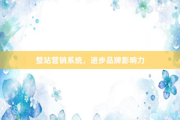 整站营销系统，进步品牌影响力