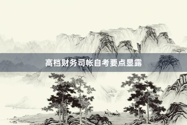 高档财务司帐自考要点显露